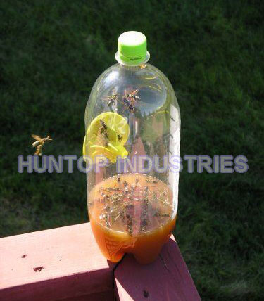 Drinks Bottle Wasp Traps
